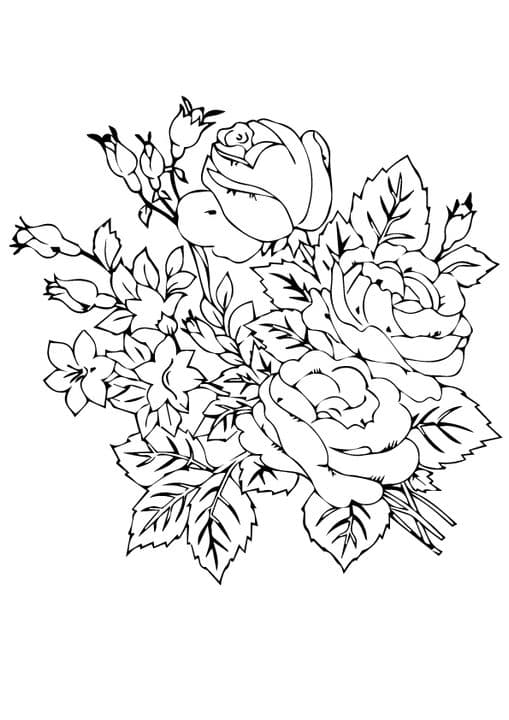 Beautiful Roses Flower