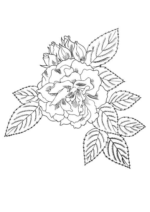 big flower
