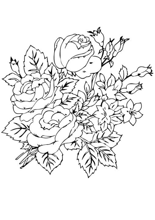 group of rosas