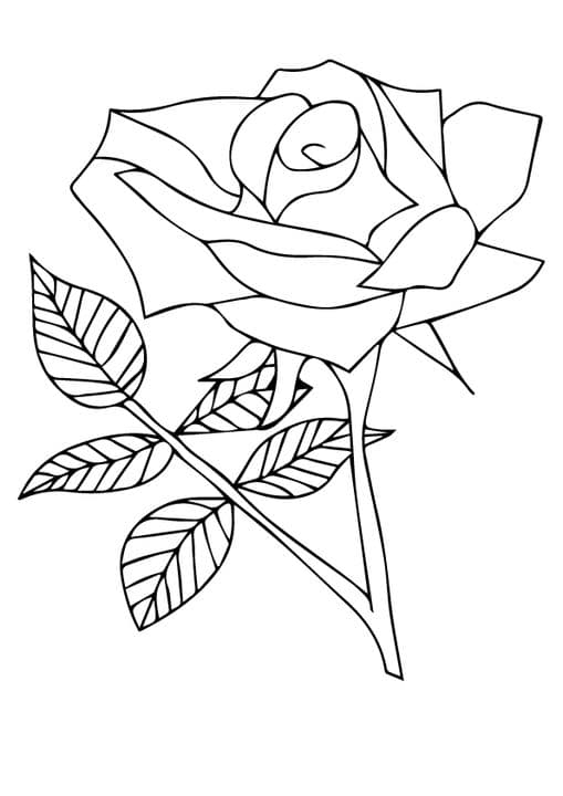 nature flower