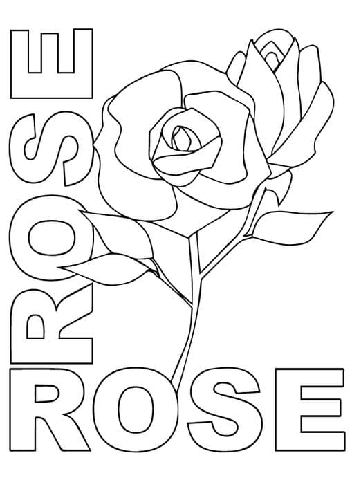 r rosas