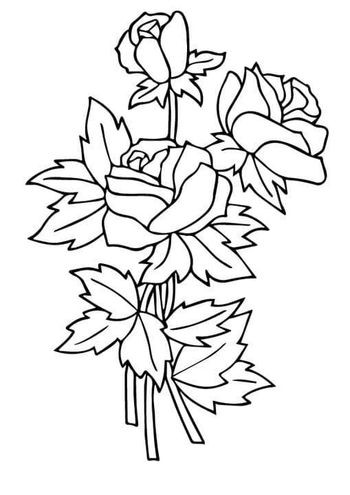 three rosas