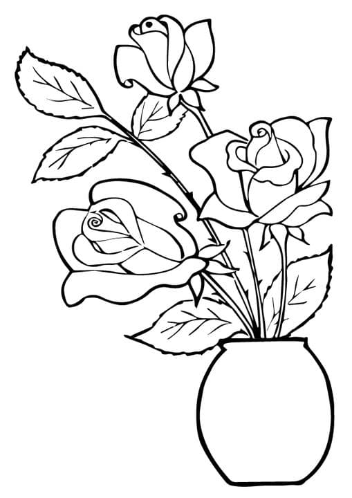 three roses in a pot
