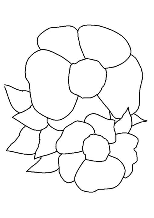 two cherokee rose