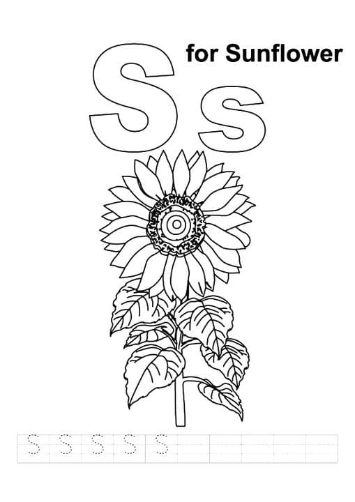 S For Sunflower