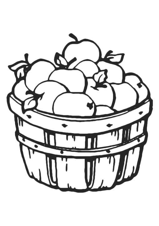Apple in Basket