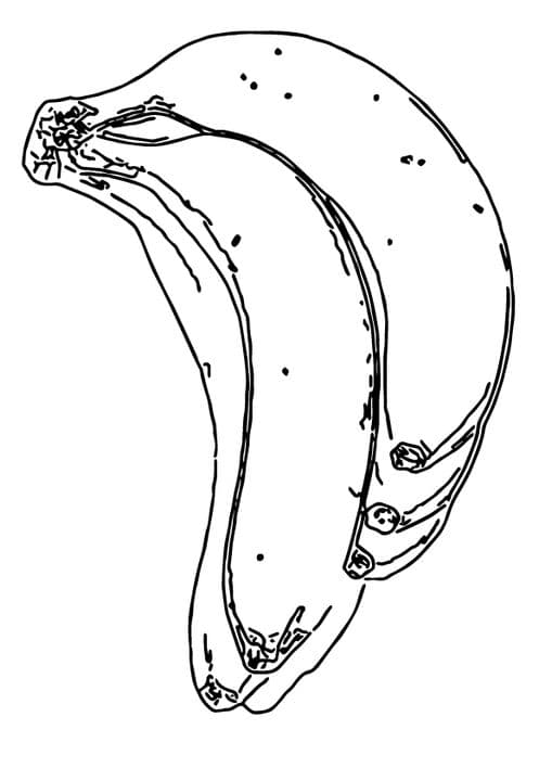 Five Banana Bunch
