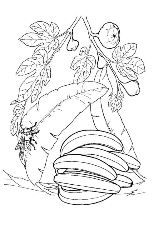 Banana Bunch & Bee