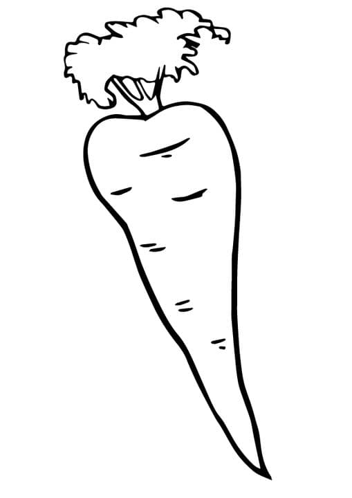 Single Carrot