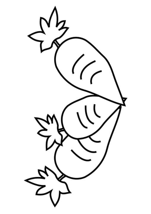 3 Carrots