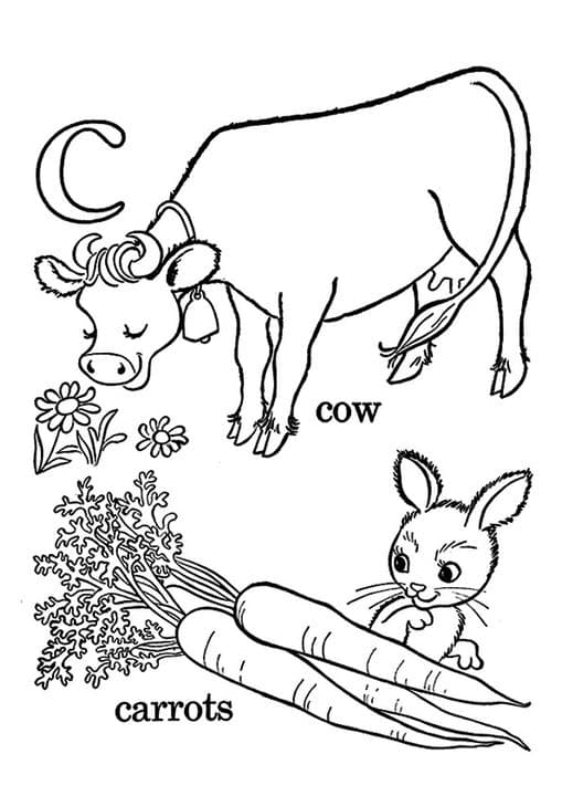 Cow Eating Carrots