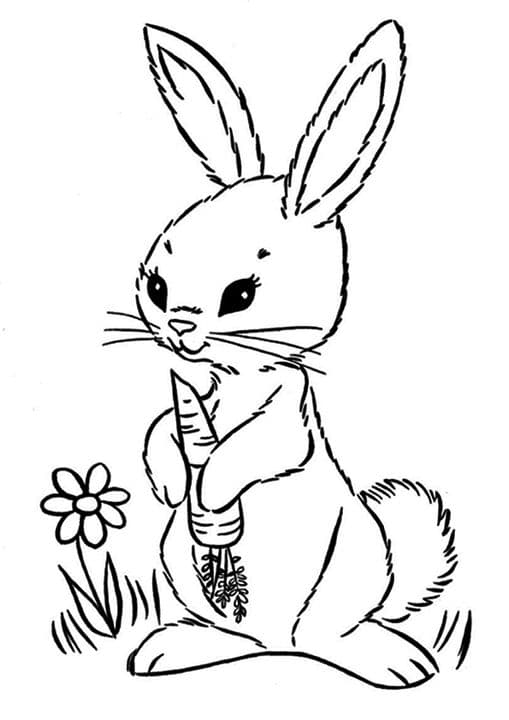 Rabbit Eating Carrot