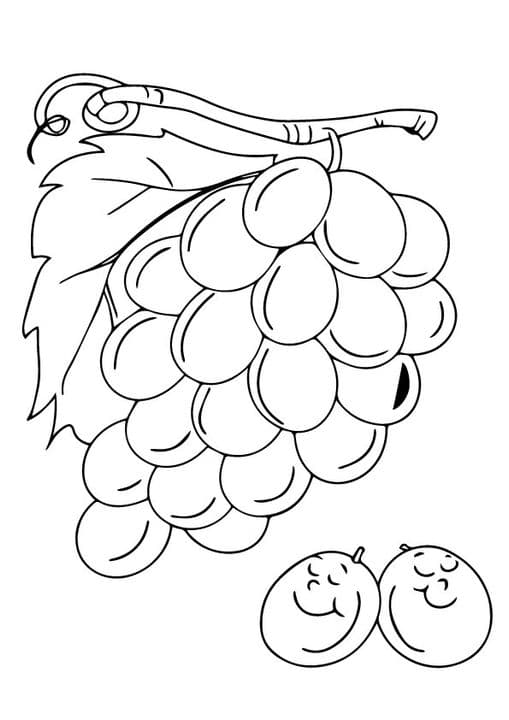 Laughing Grapes