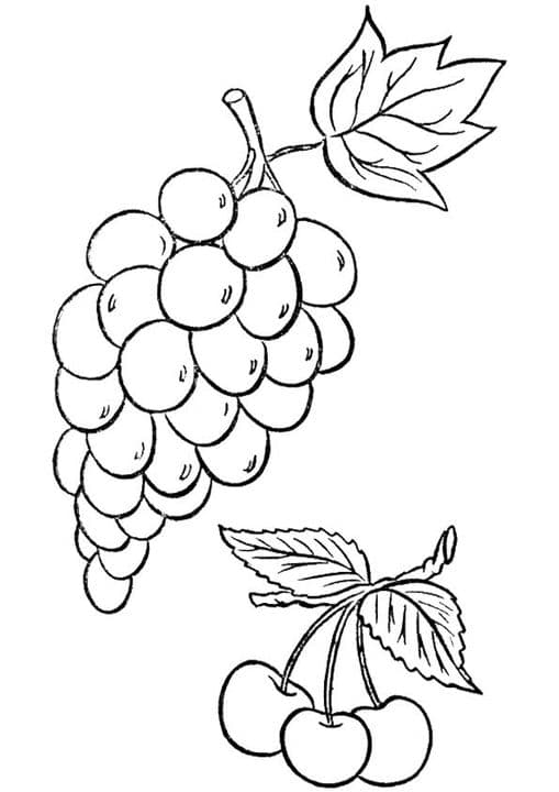 Grapes & Cherries