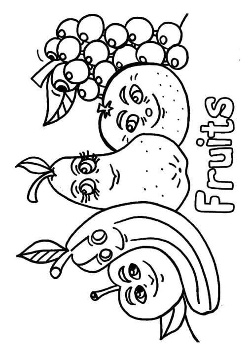 Grapes & Fruits