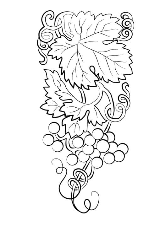 Vintage Style Grapes