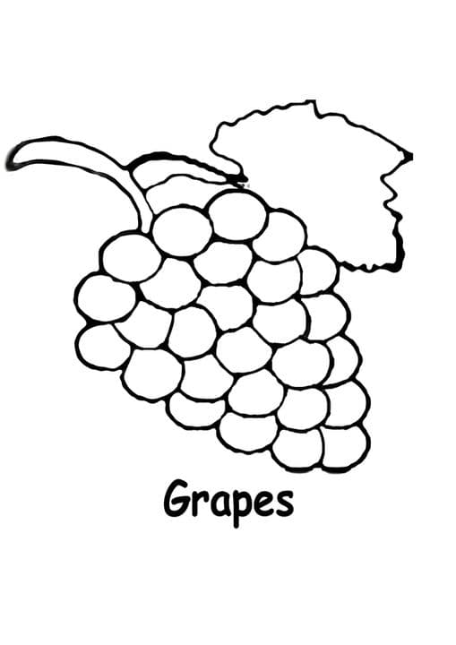 Delicious Grapes