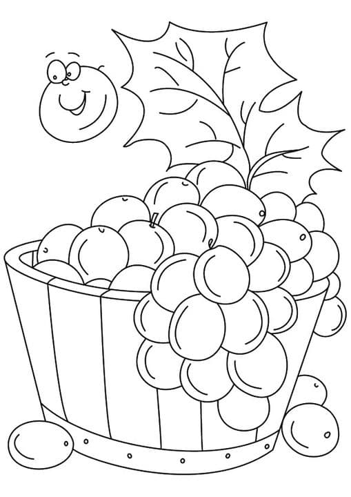 Grapes in Bucket