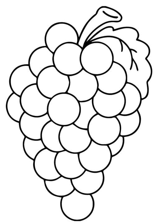 Lonely Grapes