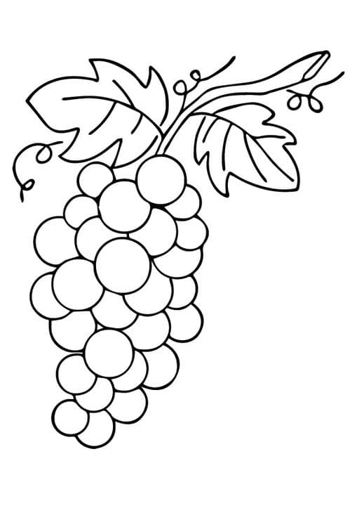 Leafy Grapes