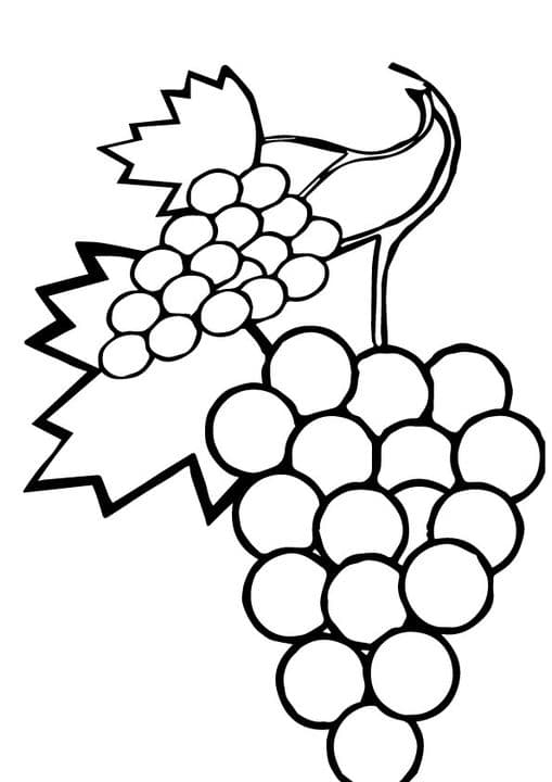 Sweet Grapes