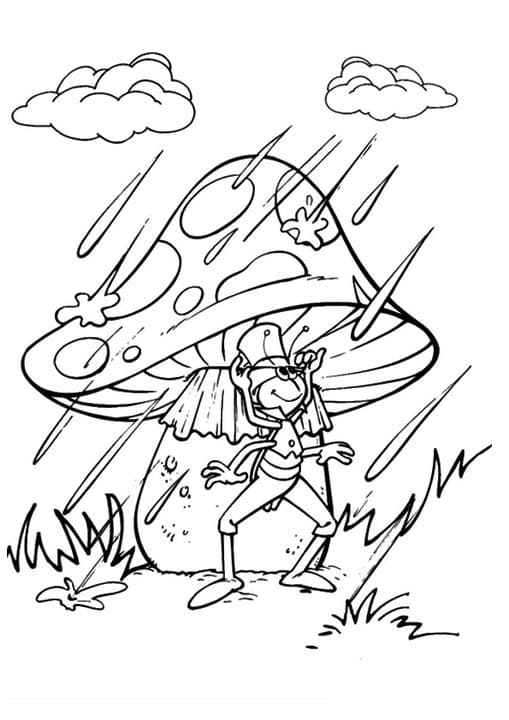 Flipy Mushroom