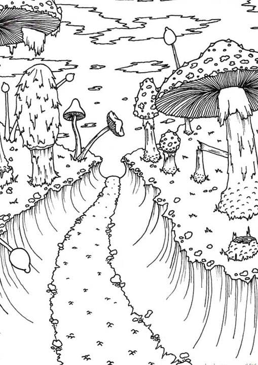 Mushroom Forest