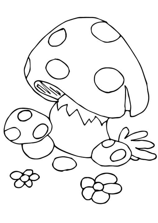 Baby Mushroom