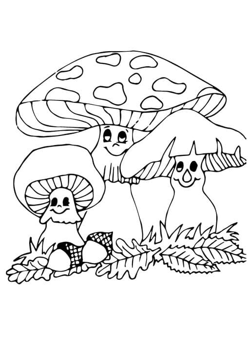 Baby Face Mushroom 