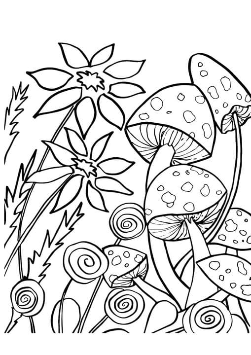 Mushroom Flowers