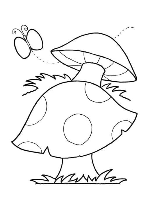Butterfly Mushroom
