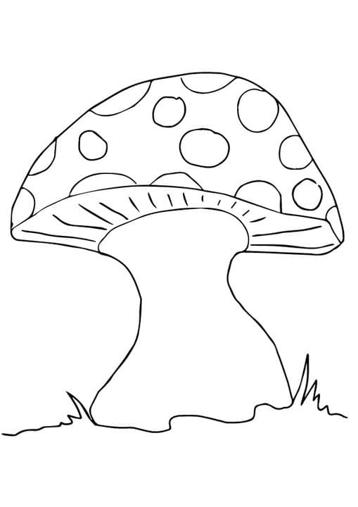 Stoolspots Mushroom