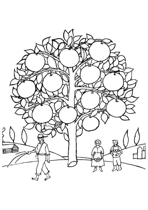 Orange Tree