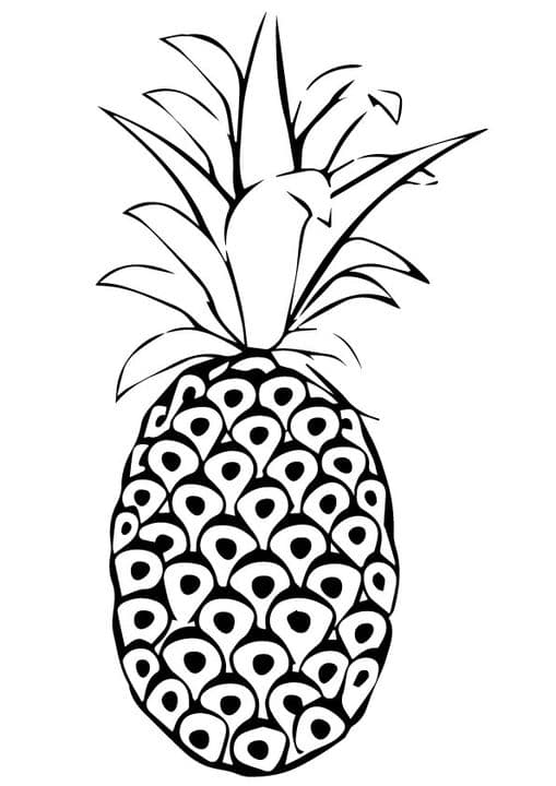 Spanish Pineapple 