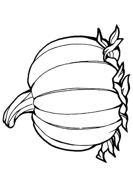 pineapple 11