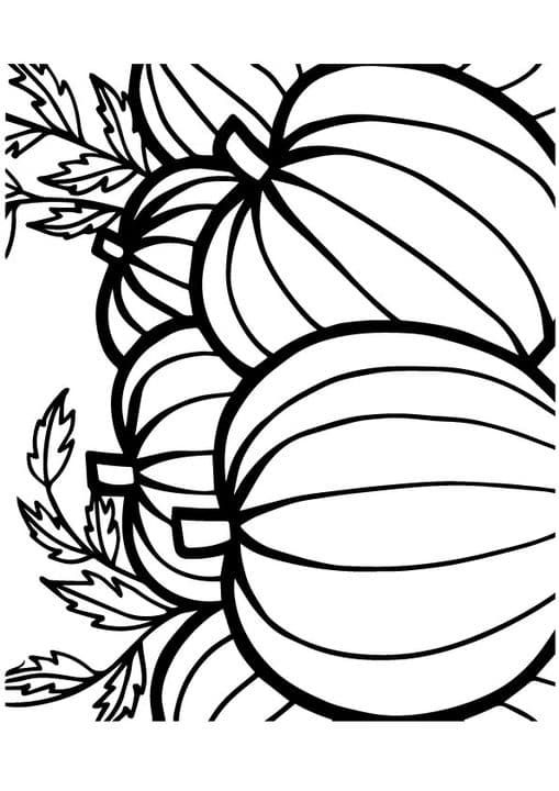 pineapple 12