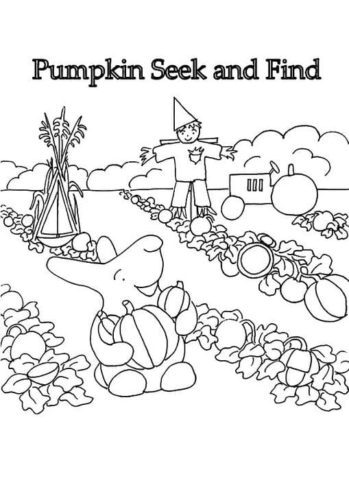pineapple 13