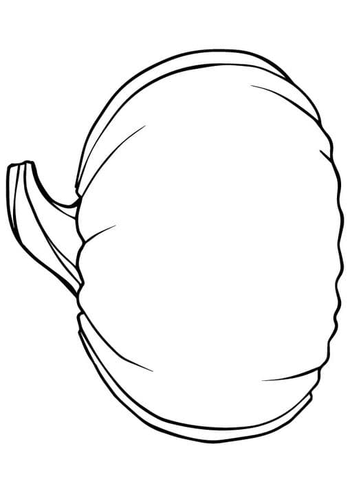 pineapple 14