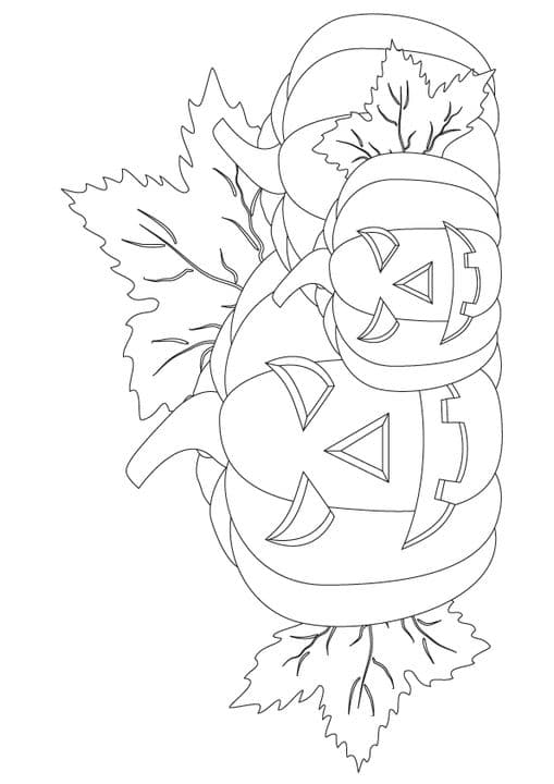 pineapple 15