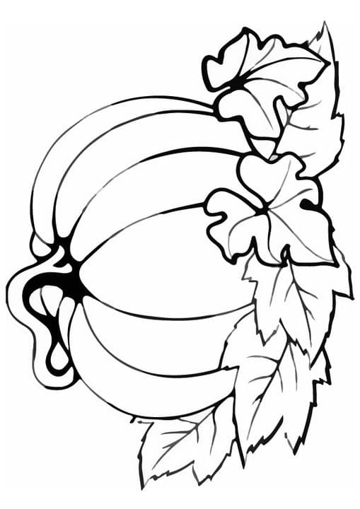 pineapple 17