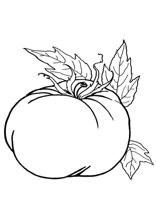 pineapple 4