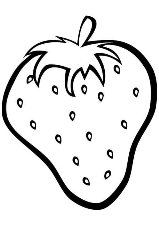 Strawberry Fruit
