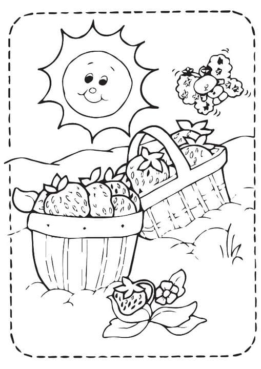 Basket of Strawberries
