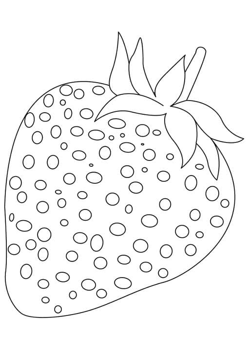 Heart Seed Strawberries