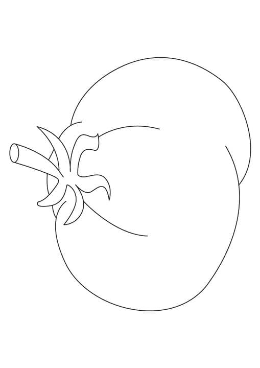 Cherry Tomato