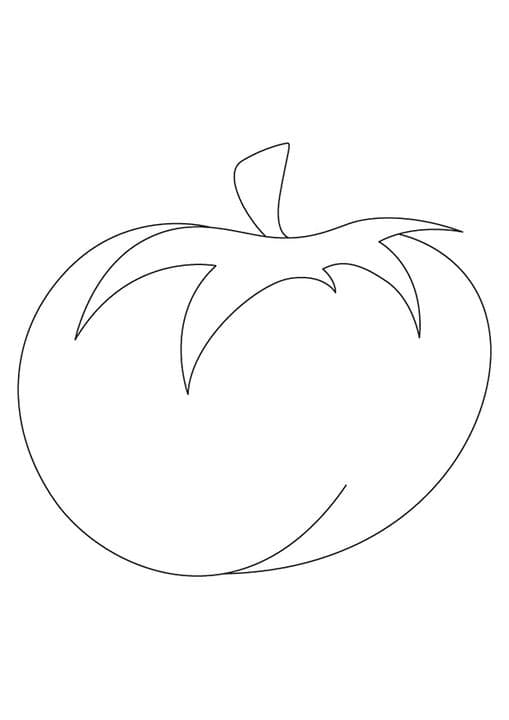 Heirloom Tomato