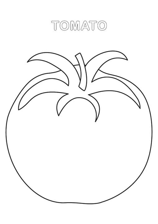 Tomato Worksheet