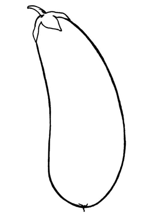 Eggplant Vegetable