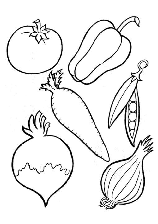 Vegetables Family