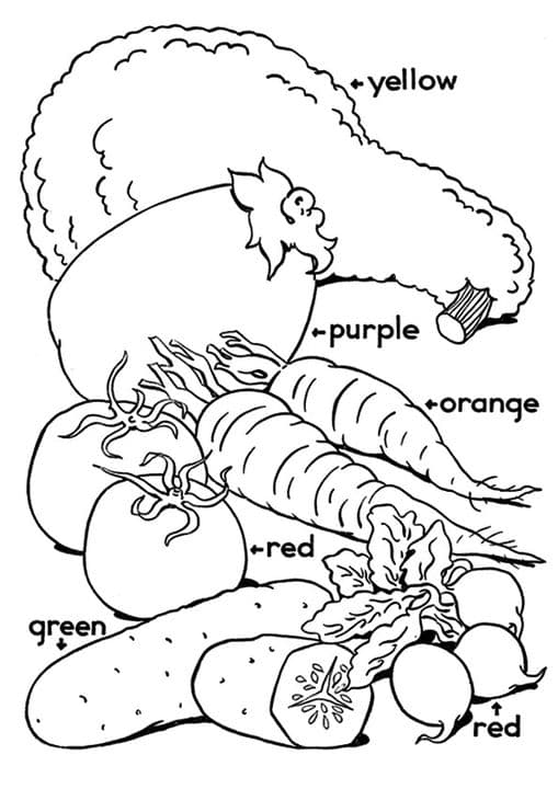 Bunch of Vegetables